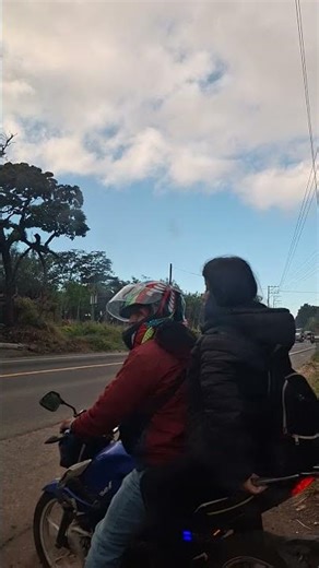 Camion freightliner columbia #trailers