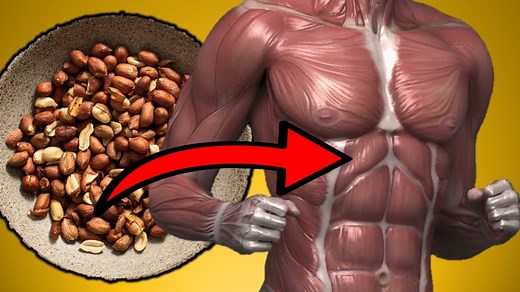 16 Amazing Health Benefits Of Eating Peanuts Everyday -