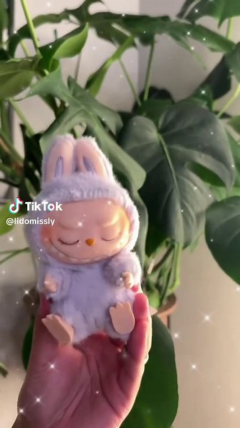 Complete Labubu Collection Showcase at Pop Mart