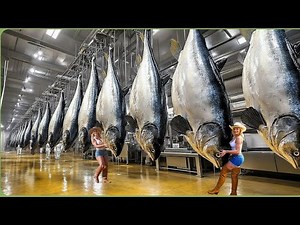 From Ocean Farms to Canned Tuna: Inside the Mega Factory Making Millions of Tuna Cans (Full Process)