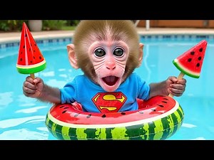 Monkey Baby Bon Bon : The Hilarious Adventure With the Duckling