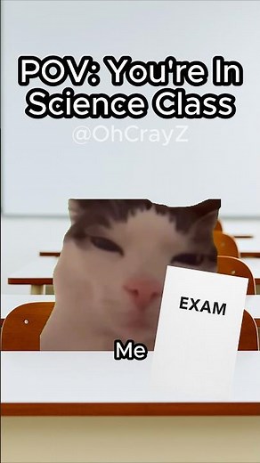 CAT MEMES 🐱 YOU’RE IN SCIENCE CLASS #relatable #cat #funny #school #shorts