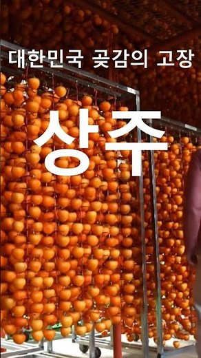설 명절, 가장 많이 찾는 선물 #곶감 #설선물 #상주곶감 #단체선물 #거래처선물 #선물추천