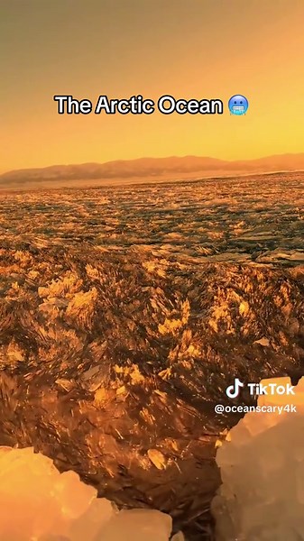 Exploring the Frozen Depths of the Arctic Ocean