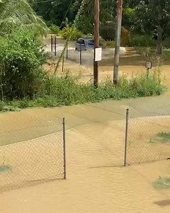 1:00 PM - Flooding continues on Goodman Road and Teemul Trace, Penal. https://ttweathercenter.com/2022/11/29/live-updates-another-round-of-floods-landslides-hit-tt/ | Trinidad and Tobago Weather Center