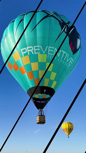 Effective Pest Control Solutions for Your Home