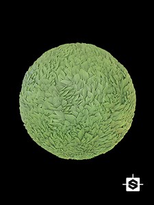 Stylized Grass 002 - 3D TEXTURES