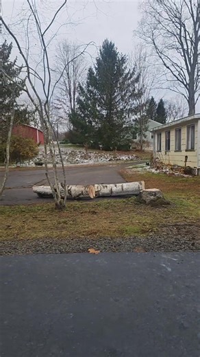 Zimmer's Affordable Tree Service on Reels | Facebook