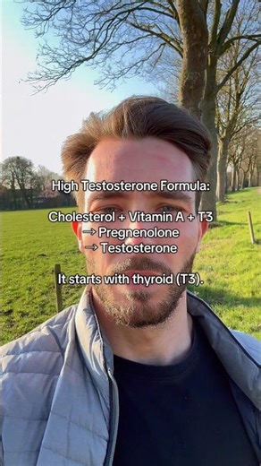 The Testosterone Formula