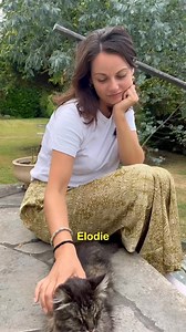 158K views · 3K reactions | 漣 Avez-vous déjà entendu parler de la...