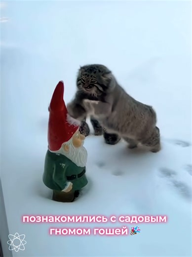 Лесные гости и гном Гоша: неожиданная встреча