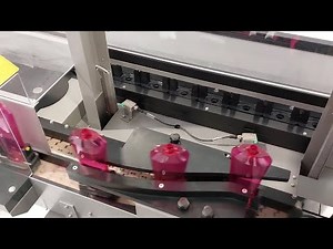 Cosmetic bottle unscrambler with pucks - inLine Series