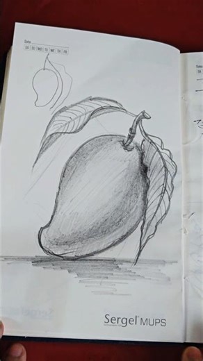 Easy Mango drawing tutorial.