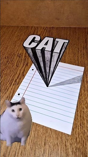 How To Draw 3D ''CAT" Real Illusion on Paper 😱 #cat #drawing #art #draw #3dart #easydrawing #shorts