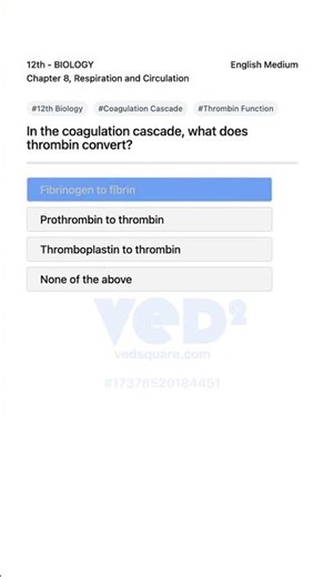 12th Biology Coagulation Cascade Thrombin Role Explained