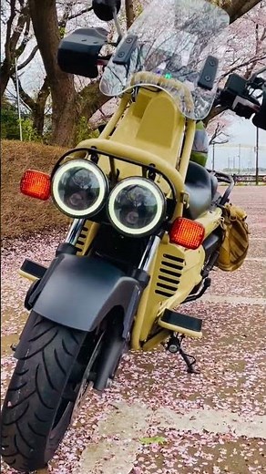 【バイク】お花見🌸 #ps250 #バイク#ホンダ #honda