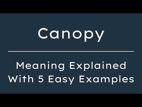 Canopy Meaning | What Does Canopy Mean? | Define Canopy, Pronunciation & Synonyms