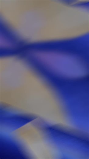 Discover the World of Raving Rabbids Animation