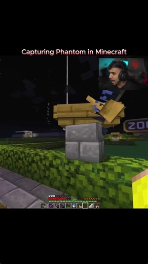 ‪@TechnoGamerzOfficial‬ Capturing Phantom in Minecraft #shorts #minecraft #technogamerz