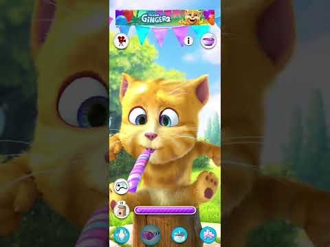 “Talking Ginger 2 😹 Super Funny Ginger Moments | New Funny Cat Videos 2025”