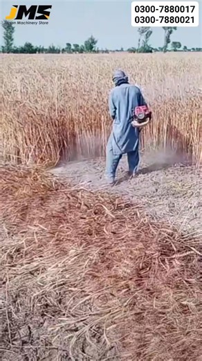 1.3M views · 10K reactions | ✨曆 #Dairy_farming #New_Modern #JapanMachineryStore #wheat #farming #trending #dairyfree #agriculture | Japan Machinery Store | Facebook