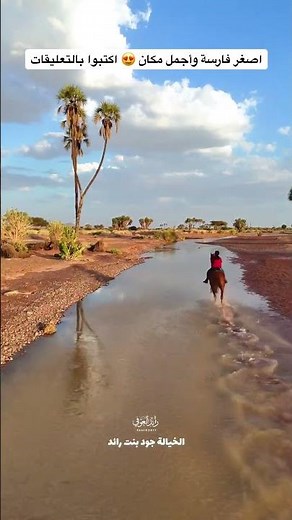 شاهد أجمل مكان بالمدينة وجود والحصان جود 😍 #horse #خياله #فارسة #خيل