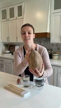 Growing your own sweet potato slips! #gardeningtips #gardeningforbeginners #gardenblogger