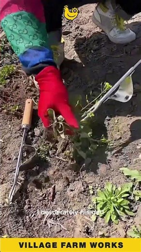 This Weeder Just Changed The Game 🌱 Twist And Pull Roots Cleanly #GardeningTools