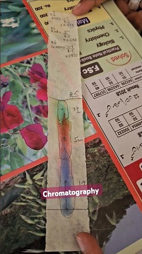 chromatography ink separation