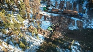 1.2K views · 148 reactions | Enjoy this compilation of hardworking loggers managing Montana's forests! | Healthy Forests, Healthy Communities | Facebook