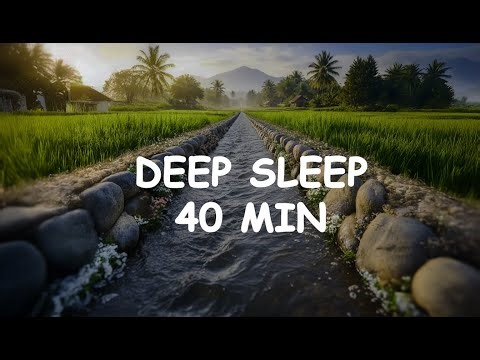 Relaxing Water Flow Sounds & Piano | 40 Minutes