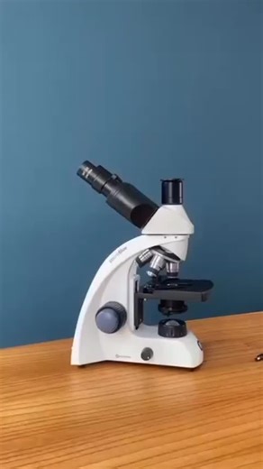Nova Analítica on Instagram: "Aprofunde-se no mundo microscópico com o Euromex! Fácil de usar, com manuseio intuitivo e câmera integrada para capturar imagens nítidas. Pode ser usado a campo com baterias externas, tornando-o ideal para pesquisa, educação e laboratórios que buscam precisão e praticidade. #euromex #analítica #praticidade #precisao #inovação"