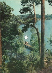 The Equals - Baby, Come Back