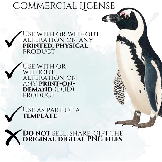 Penguins Clipart, Penguin PNG Illustrations, Arctic Bird Graphics for Stickers, Scrapbooking, Crafts & Classroom Projects - Etsy