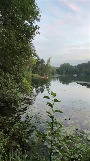 В серебряном бору #shorts #model #trips #buy #realestate