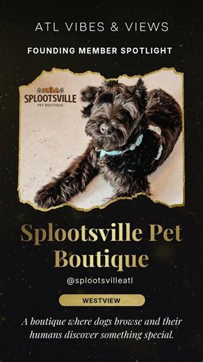 Splootsville - Founding Member Spotlight