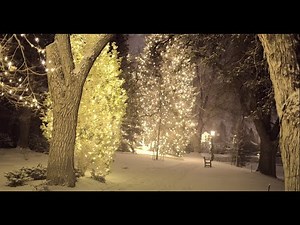 Christmas Lights Walk in Snowstorm