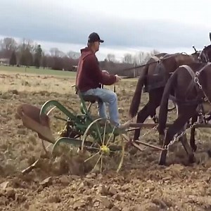 2.3K views | Mules Plowing Woodbury Tenn… | Machines TV | Facebook