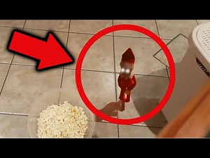 Elf on the Shelf Caught in the Act: Real Footage Captures Mischief on Camera