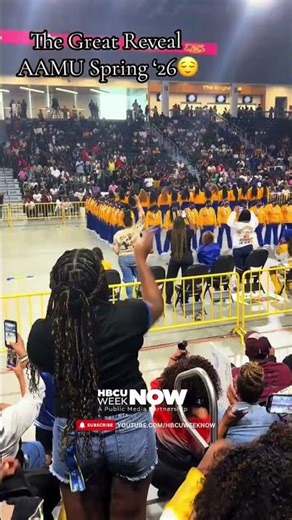 The Great Reveal at Alabama A&M Was CRAZY! 🔥 | D9 Probate Showcase #hbcuweeknow