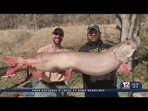 Largest Musky caught in West Virginia history