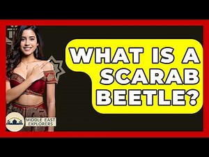 What Is A Scarab Beetle? - Middle East Explorers