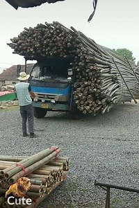 9M views · 10K reactions | Amazing technology and work moments | Media 2 | Facebook