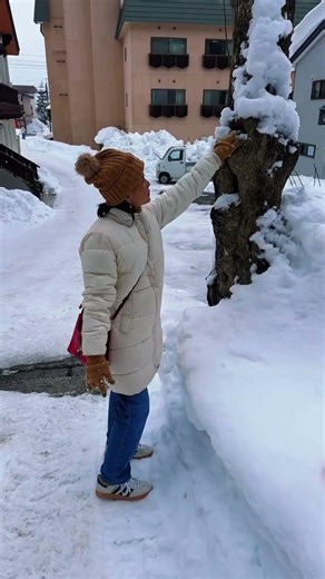 winter holiday in Japan 🥰😍😘