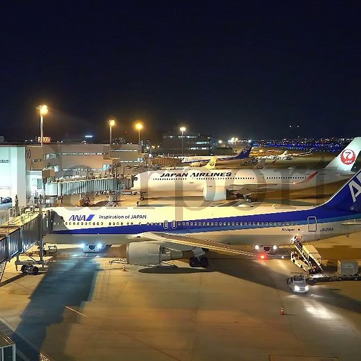 夜の福岡空港✈️ #Shorts