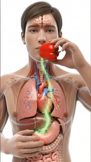 "What Happens If You Eat Capsicum 🫑: Health Effects, Side Effects & More" #health #healtheducation