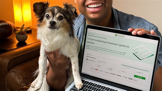 Thinking about pet insurance? 🐈‍⬛🐩 Here's a breakdown of what you should know. #problemsolved | Ventura County Star