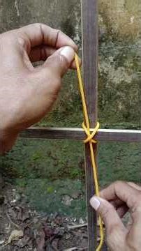 World Famous Knot 👍 #knot