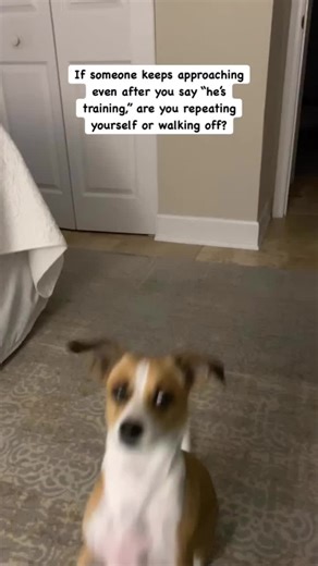 Some people act like your dog is public property. One warning is more than enough.