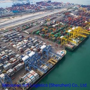 [Hot Item] Sea Shipping Agency Services From China to Damman Port, Jeddah Port, Riyadh Port